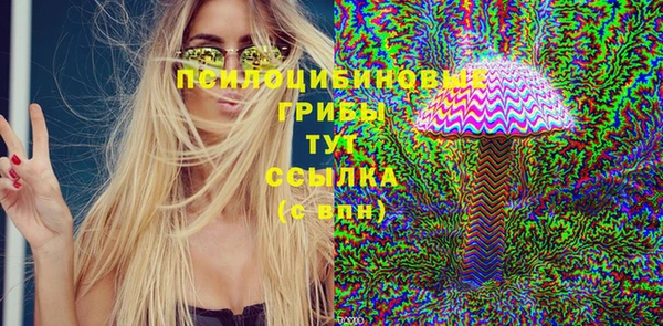 ГАЛЛЮЦИНОГЕННЫЕ ГРИБЫ Новокубанск